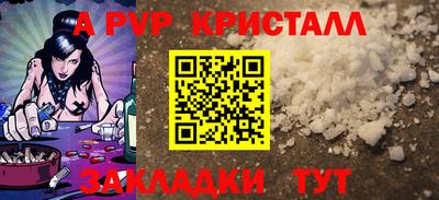 дмт Кингисепп