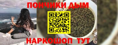 дмт Кингисепп