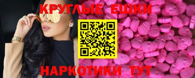 дмт Кингисепп
