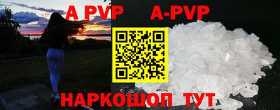 дмт Кингисепп