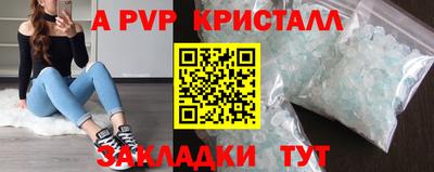 дмт Кингисепп