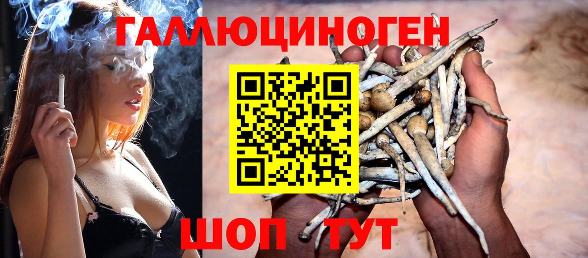 Псилоцибиновые грибы GOLDEN TEACHER Красноармейск