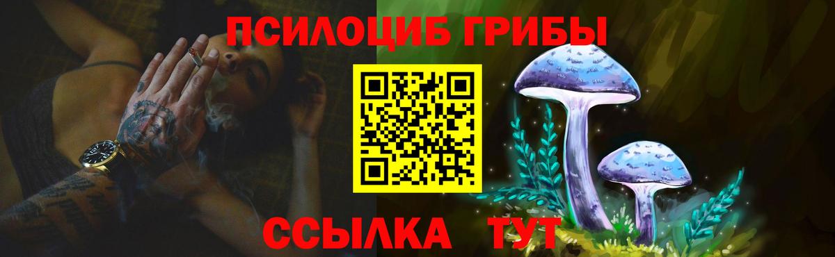 Псилоцибиновые грибы GOLDEN TEACHER  Псилоцибиновые грибы ЛСД  Вход с VPN  Красноармейск 
